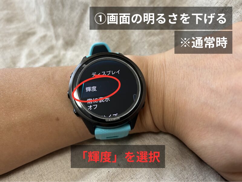 Garmin 570の輝度選択画面