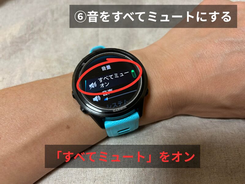 Garmin 570の音量すべてミュートをオンにした画面