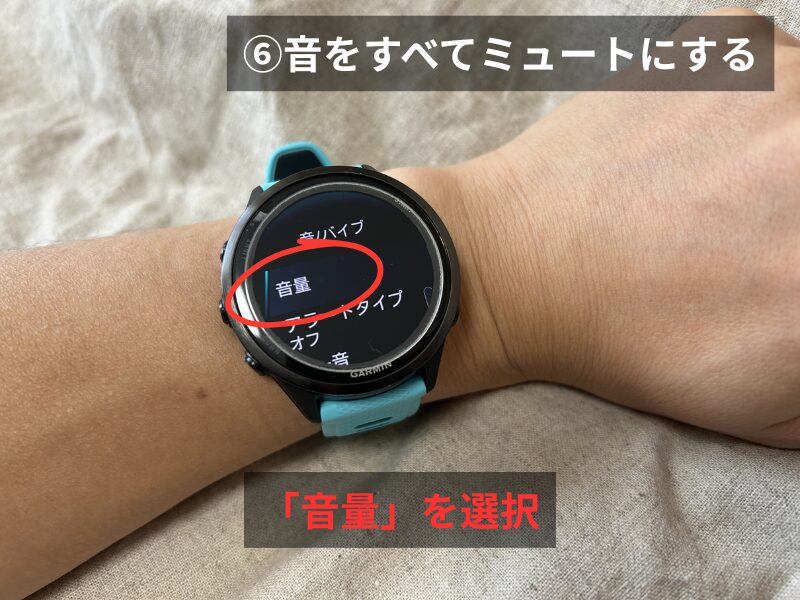 Garmin 570の音量選択画面
